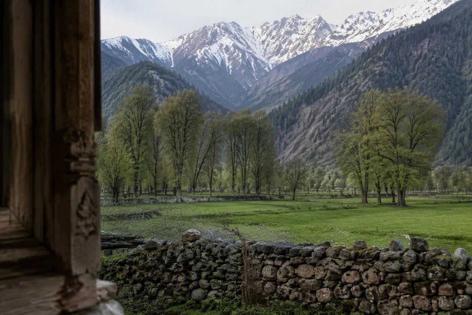 Kashmir